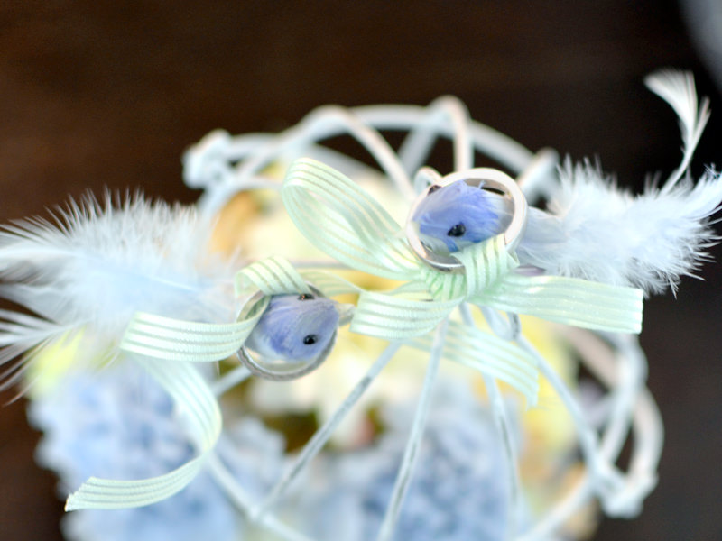 鳥カゴ,リングピロー