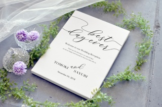 ベスト デイ エバー Best<I> </i>Day<I> </i>Ever -<I> </i>ホワイト<I> </i>D -